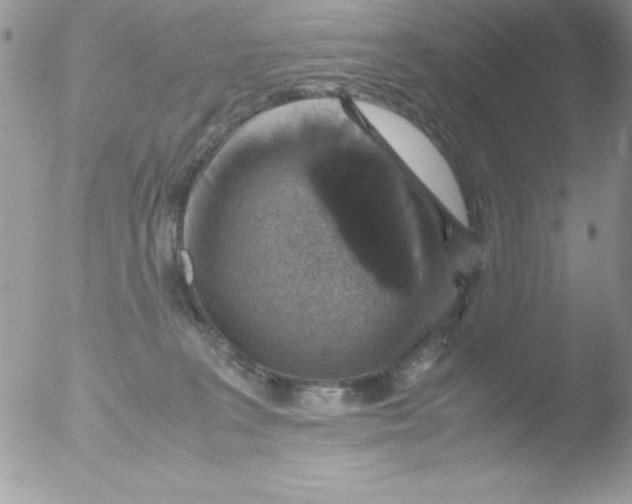 X0000051880227200507151921