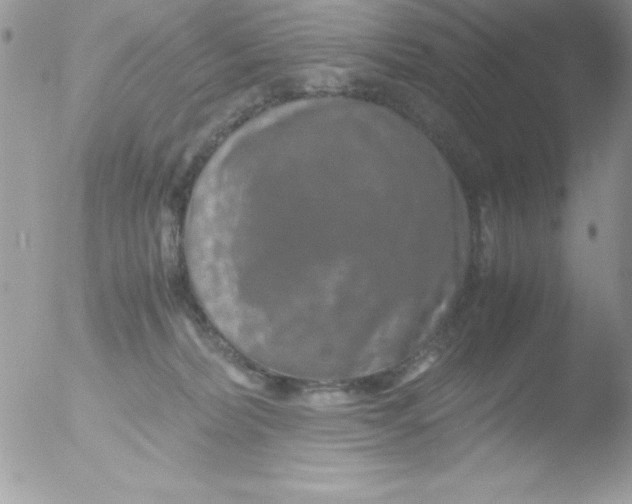 X0000051880228200507151921