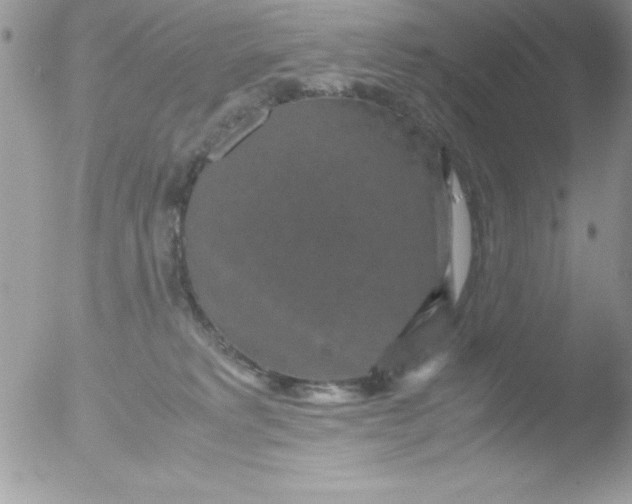 X0000051880229200507151921