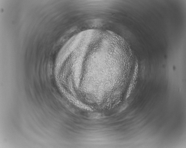 X0000051880230200507151921