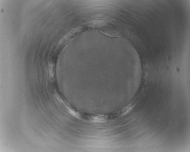 X0000051880232200507151921