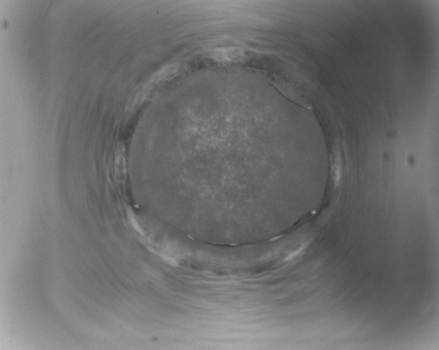 X0000051880233200507151921