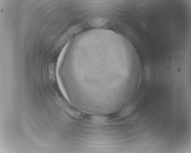 X0000051880234200507151920