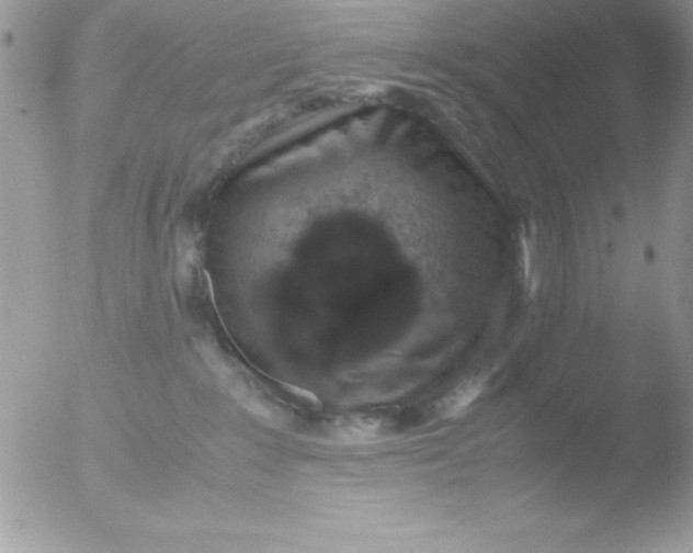 X0000051880235200507151920