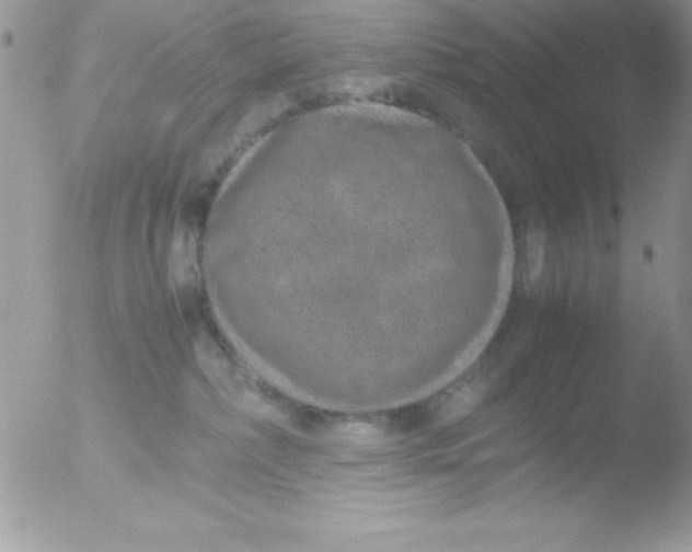 X0000051880236200507151920