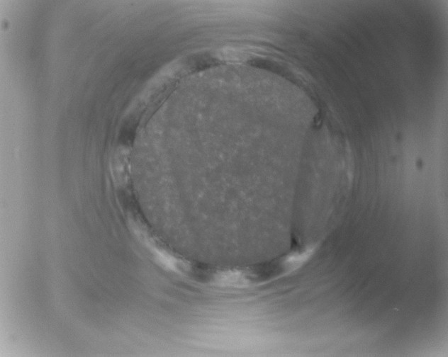 X0000051880237200507151920