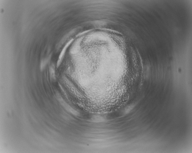 X0000051880238200507151920