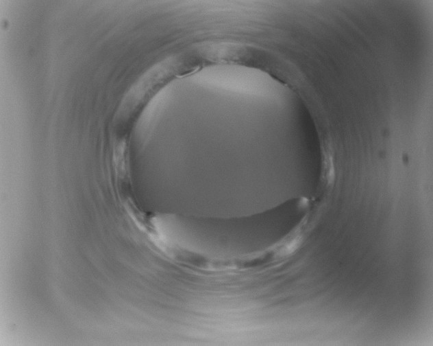 X0000051880239200507151920