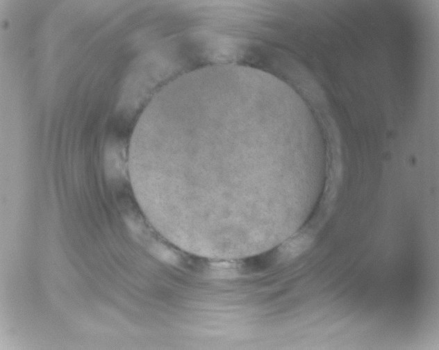 X0000051880240200507151920