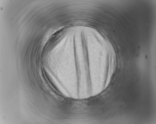 X0000051880241200507151920