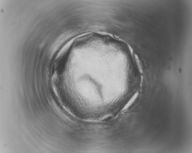 X0000051880242200507151920