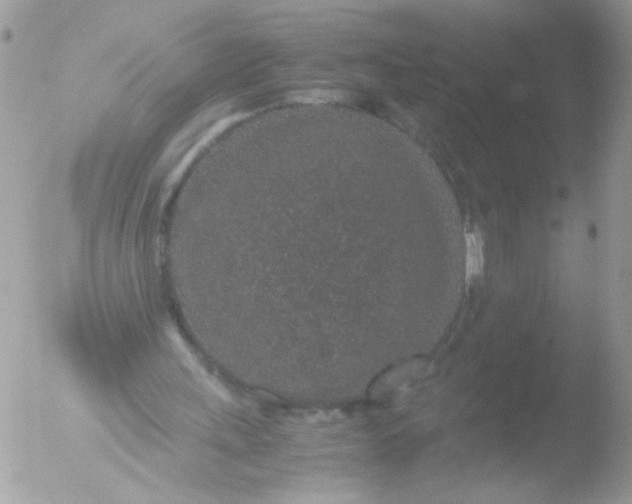 X0000051880243200507151920