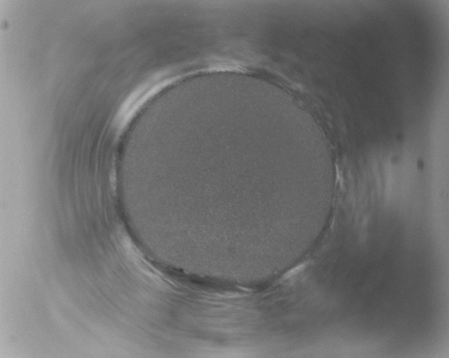 X0000051880247200507151920