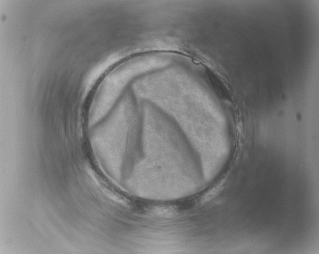 X0000051880248200507151920