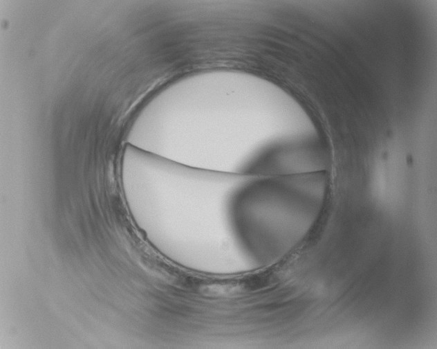 X0000051880251200507151920