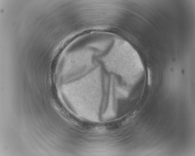 X0000051880252200507151920