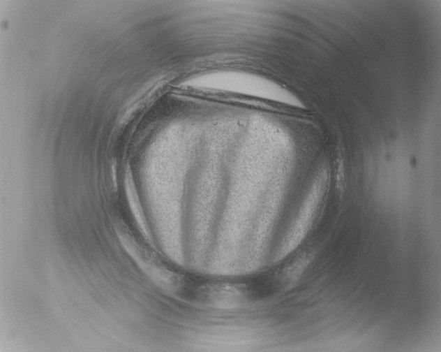 X0000051880254200507151920