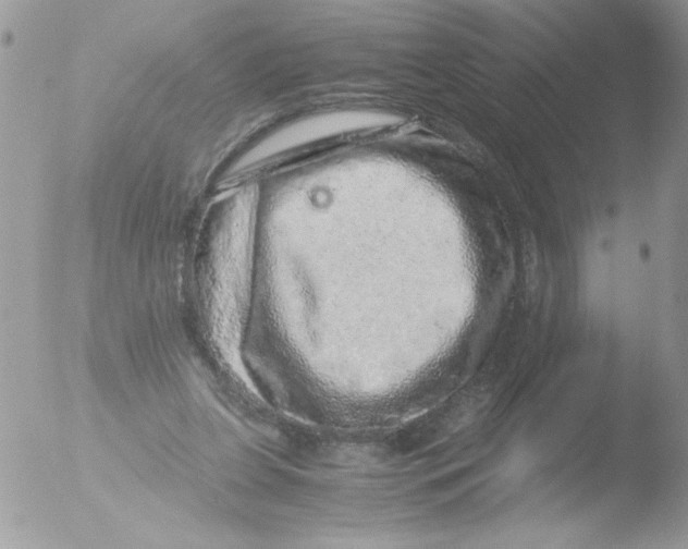 X0000051880255200507151920