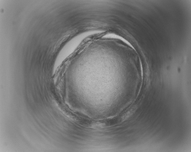 X0000051880257200507151920