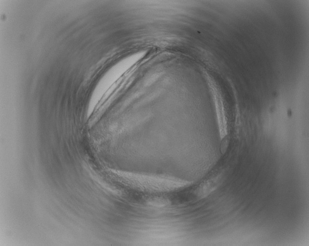 X0000051880258200507151920