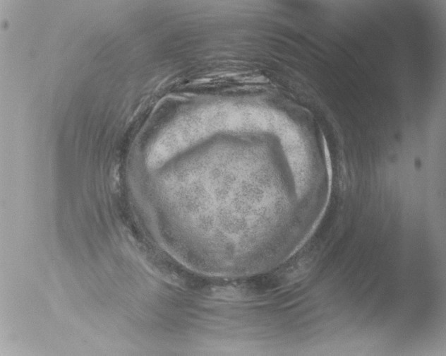 X0000051880259200507151920