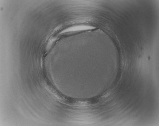 X0000051880260200507151920