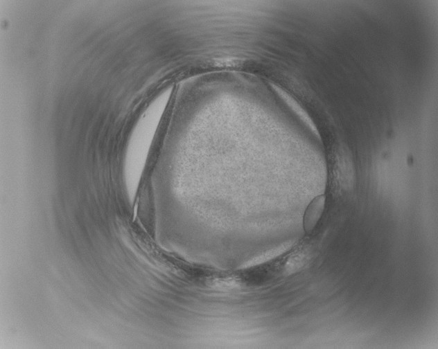 X0000051880262200507151920