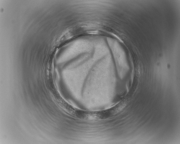 X0000051880264200507151920