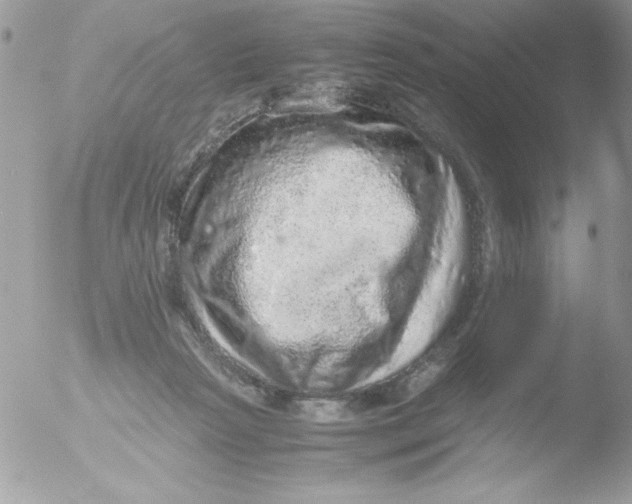 X0000051880265200507151920