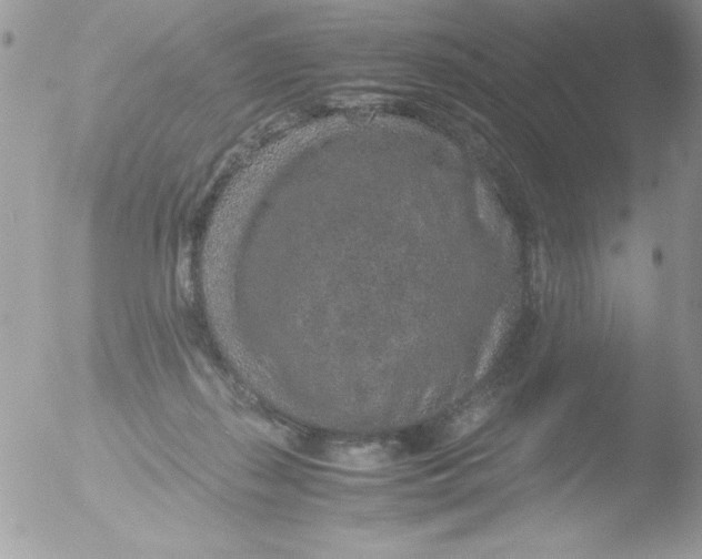 X0000051880267200507151920