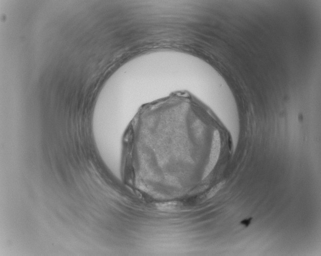 X0000051880268200507151920