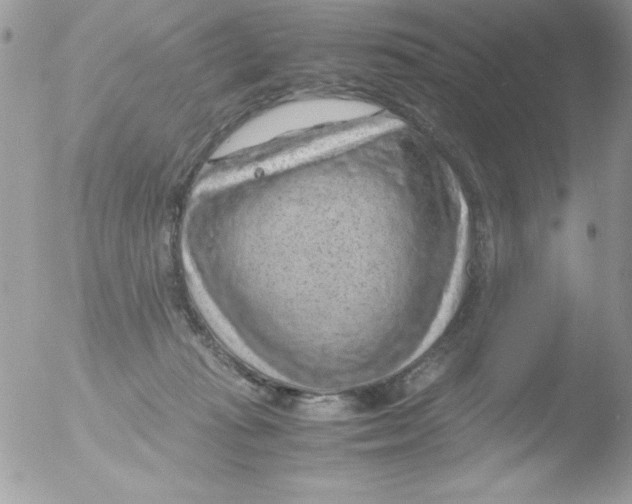 X0000051880269200507151920