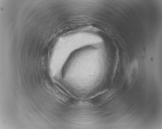 X0000051880270200507151920