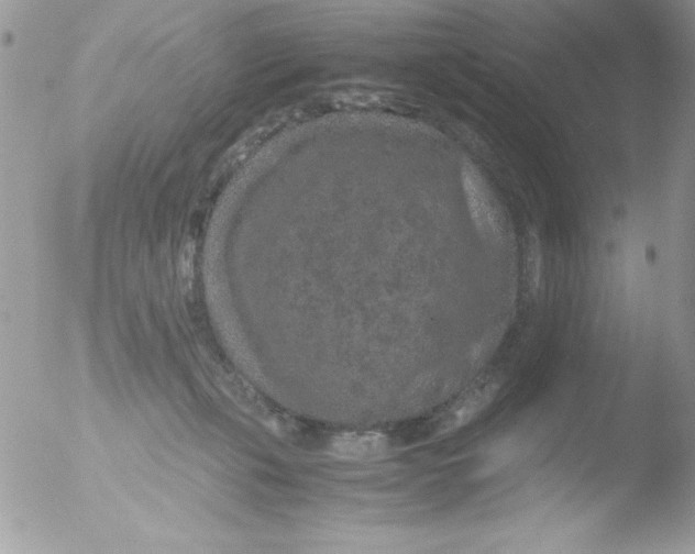 X0000051880271200507151920