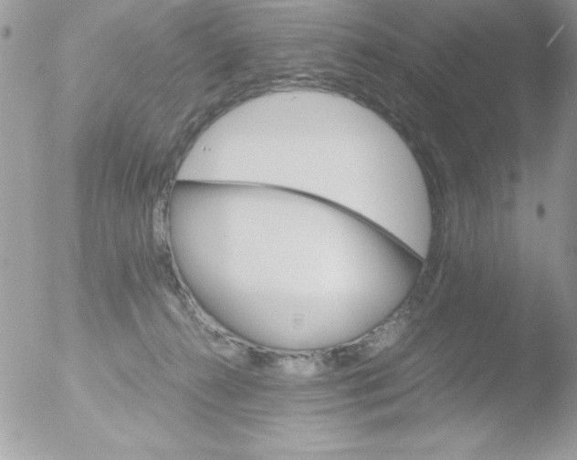 X0000051880272200507151920