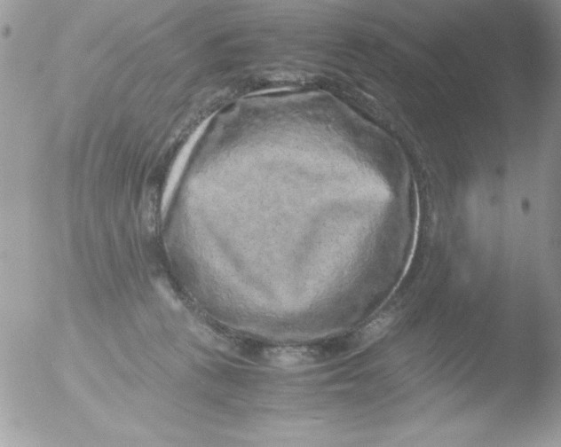 X0000051880273200507151920