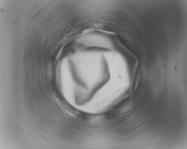 X0000051880274200507151920