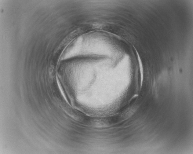 X0000051880275200507151920