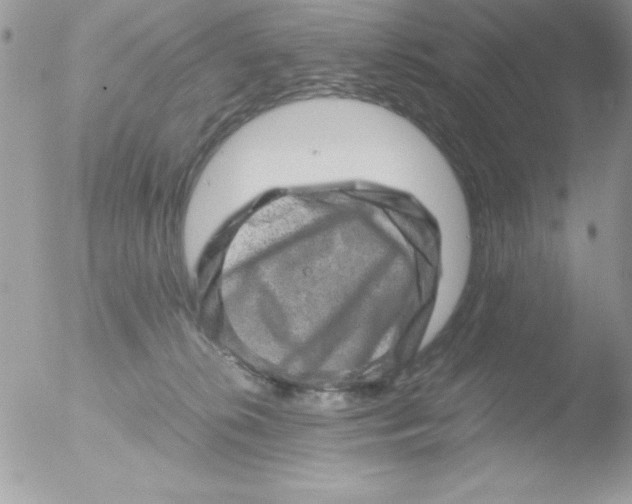 X0000051880276200507151920