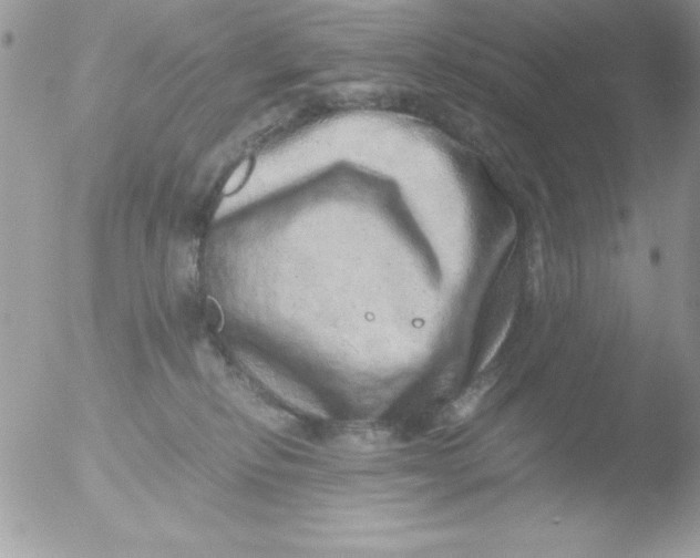 X0000051880278200507151920