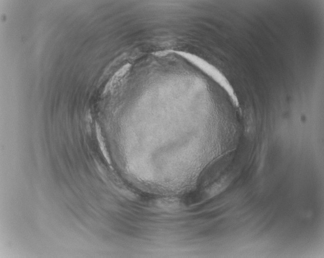 X0000051880279200507151920