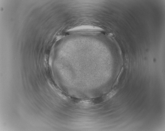 X0000051880280200507151920