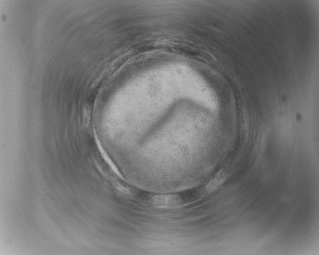 X0000051880281200507151920