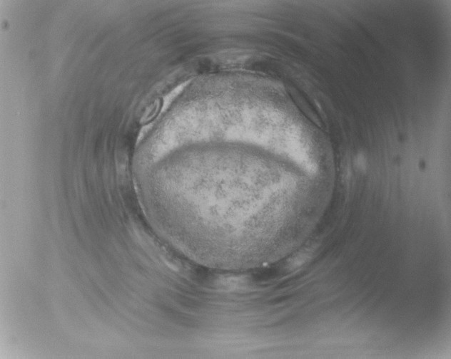 X0000051880283200507151920