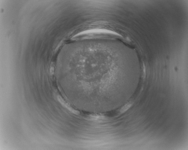 X0000051880284200507151920