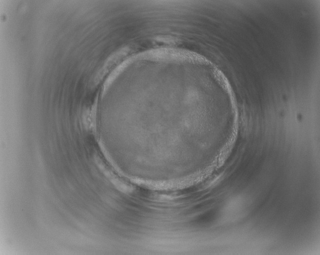 X0000051880285200507151920