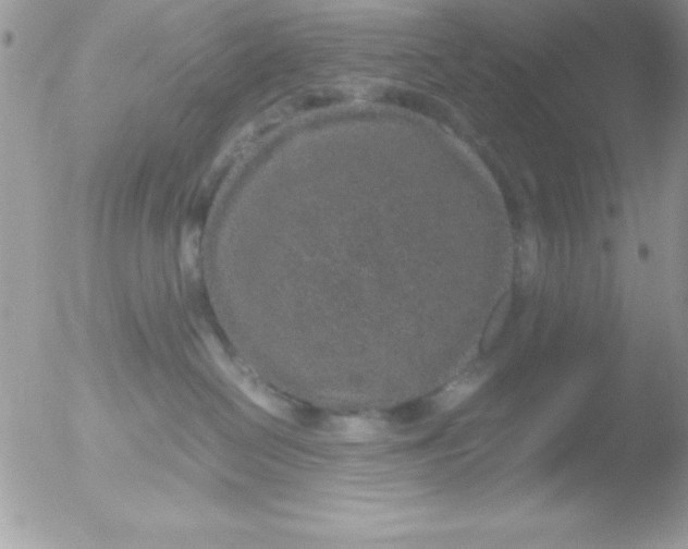 X0000051880286200507151920