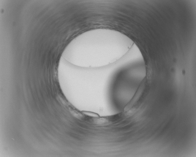 X0000051880287200507151920