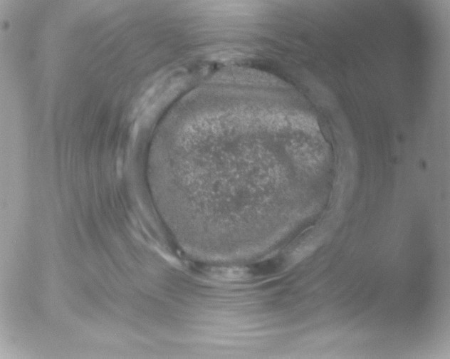 X0000051880288200507151920