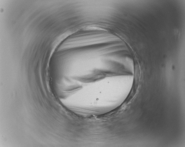 X0000051880289200507151920